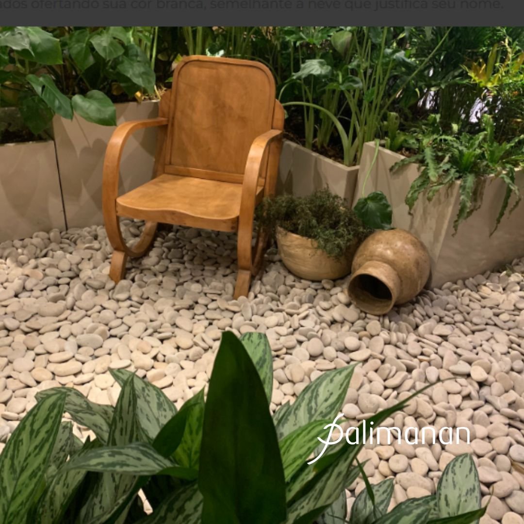 Seixo solto areia Palimanan aplicado em área decorativa com plantas e mobiliário em madeira